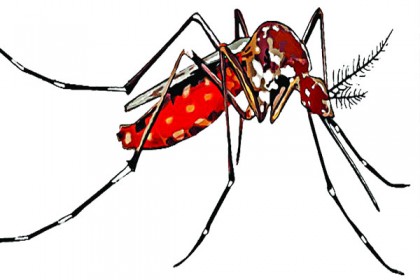 Reasons behind the dengue menace