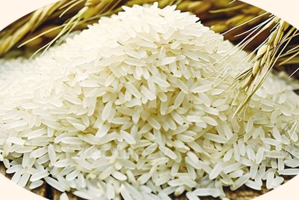 Govt mulls cutting duty on rice import: Officials