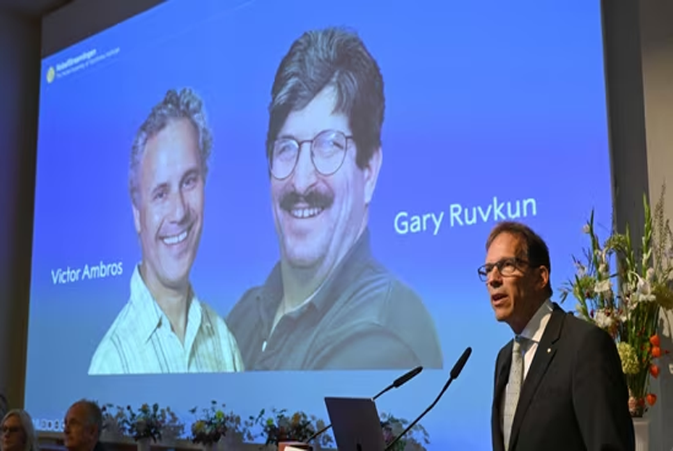 US duo Victor Ambros, Gary Ruvkun win nobel prize in medicine 