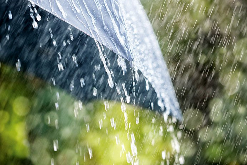 BMD forecasts light to moderate rain  