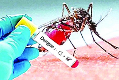 October dengue surge: 38 Deaths and 40,000+ hospitalizations