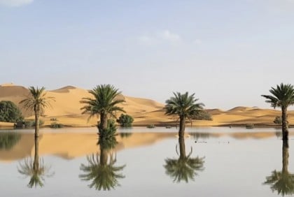 Rare images show first floods in Sahara in 50 years