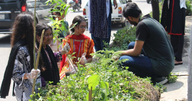 Bashundhara Shuvosangho organises tree plantation campaign in Mirpur