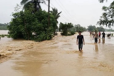 Sherpur flood causes Tk 600cr loss in agriculture, fisheries