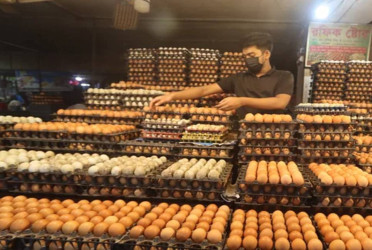 Egg wholesalers halt trade in Dhaka, Ctg