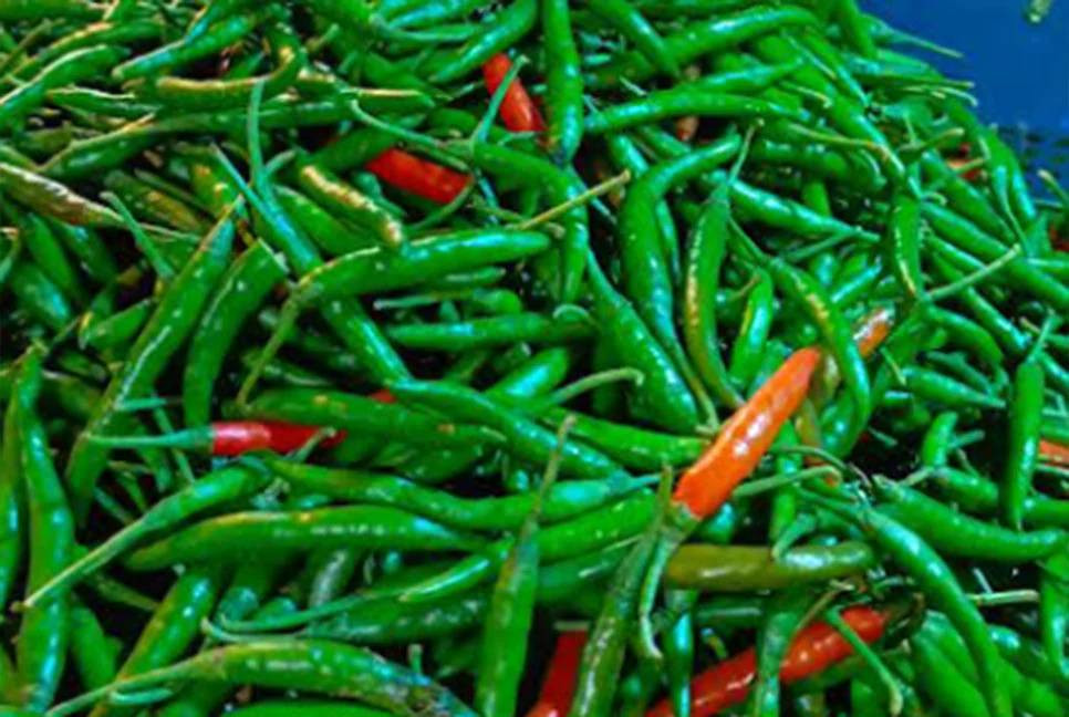 Bangladesh imports 500 tonnes of green chilli in 2 days