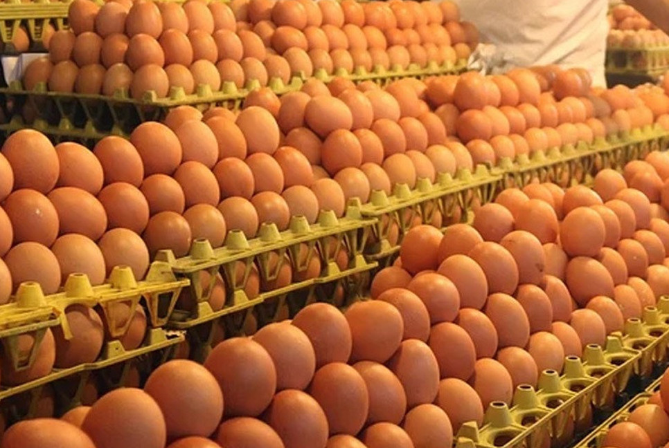 Government sets new eggs prices hoping the regulation to yield better results