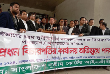 SC lawyers demonstrate demanding resignation of 30 judges