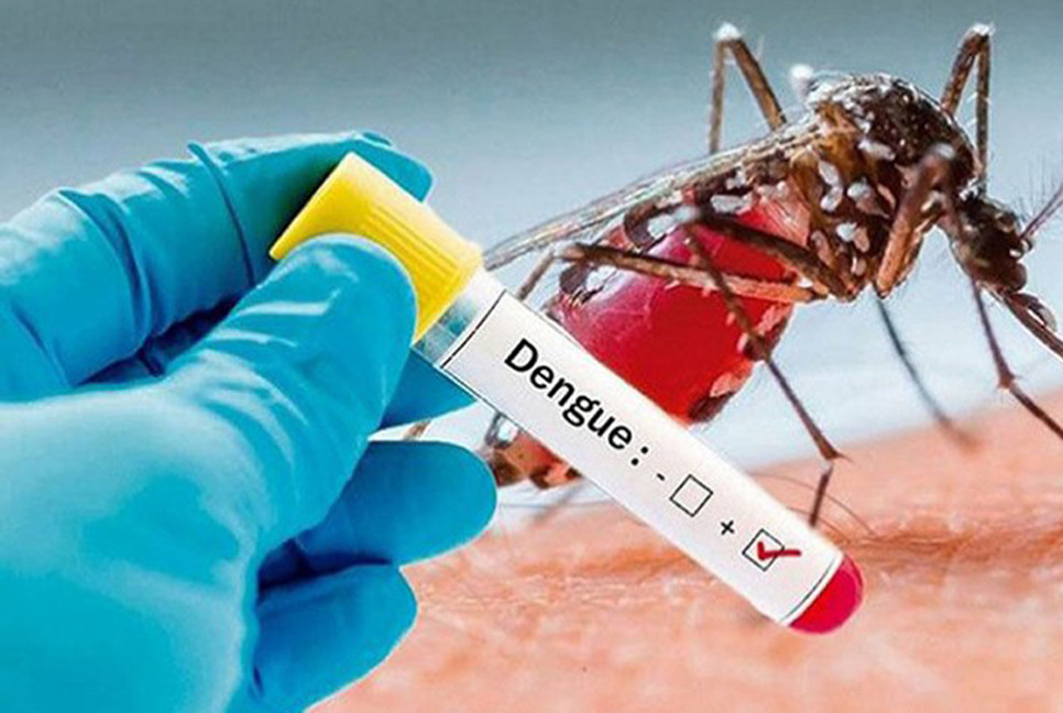 Dengue: 8 die, 1,100 hospitalized in 24 hrs