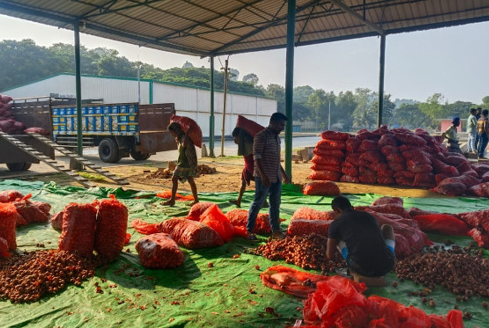 380 tonnes of onions imported at Teknaf Land Port from Myanmar