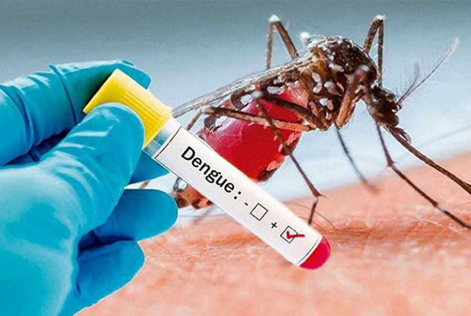 Four more die of Dengue, 1121 hospitalized