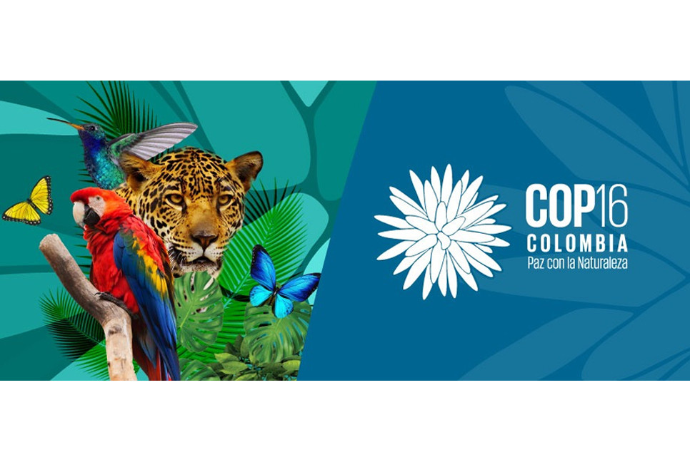 Cop16: Colombia hosts 'decisive' biodiversity summit