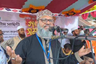 AL led liberation war, but later became bloodthirsty: Shameem Sayeedi