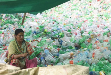 Scientists identify lesser mealworm's potential to tackle plastic waste