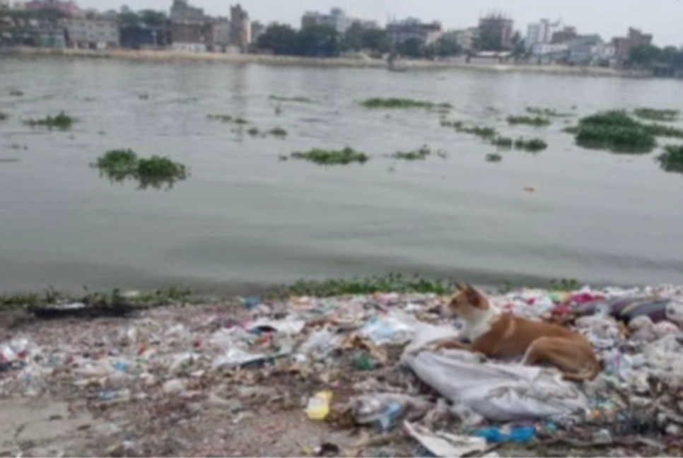 250 untreated sewage connections polluting Buriganga!