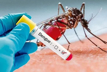 Dengue deaths among youth rising