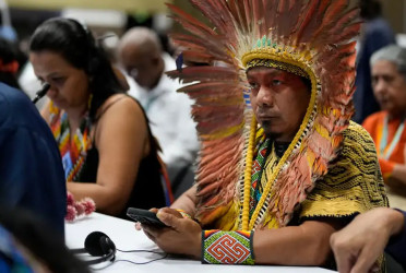 UN nature summit approves Indigenous consultative body