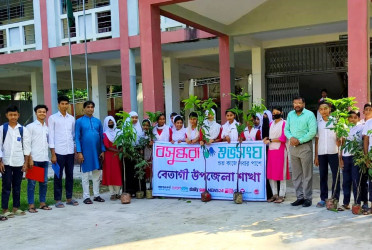 Shuvosangho organizes tree plantation event in Betagi