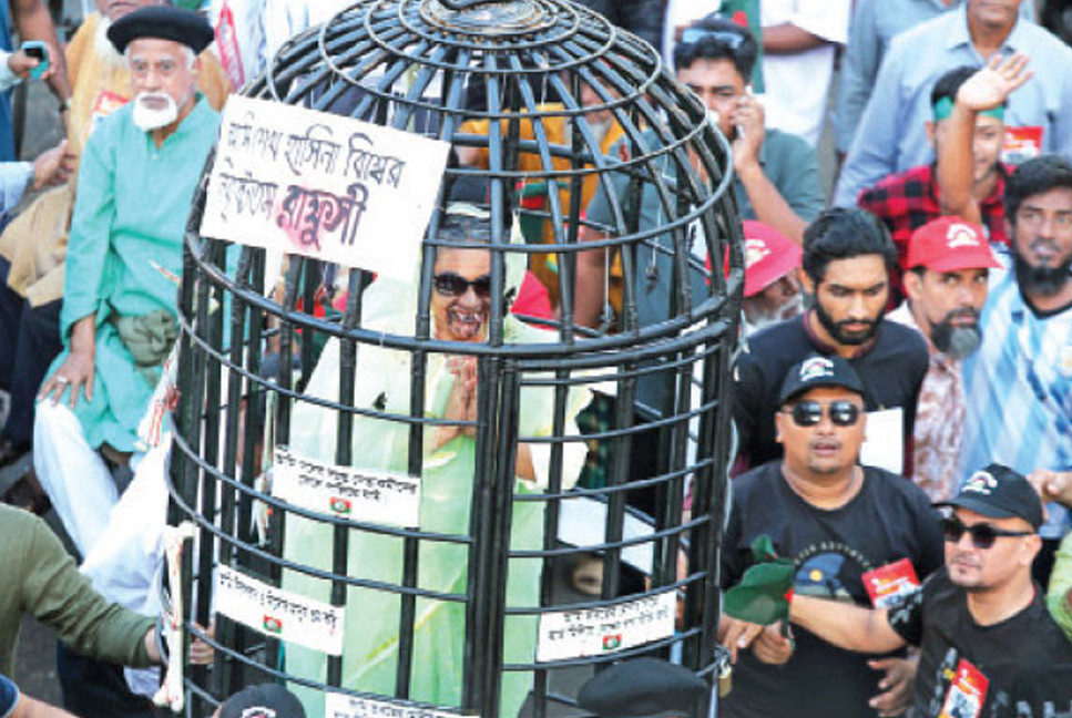 Monster Hasina in cage!