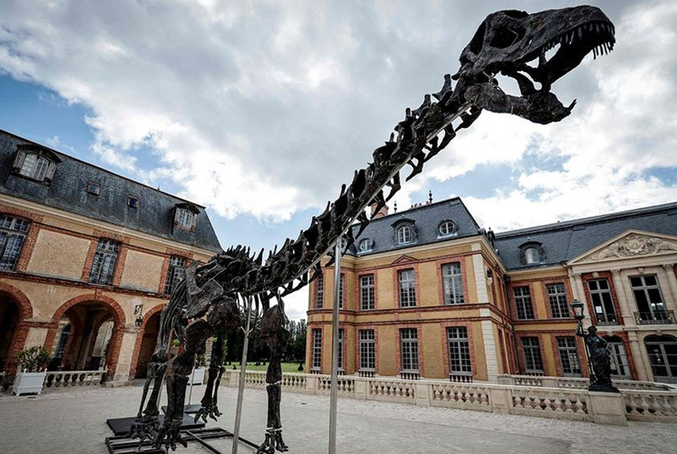 Dinosaur skeleton fetches $6.4 million in Paris sale