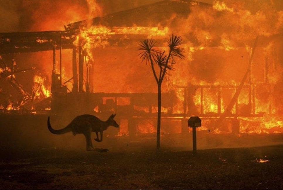 Dozens of bushfires rage across Victoria, destroying homes and livestock