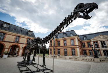 Dinosaur skeleton goes for 6 million euros in Paris sale