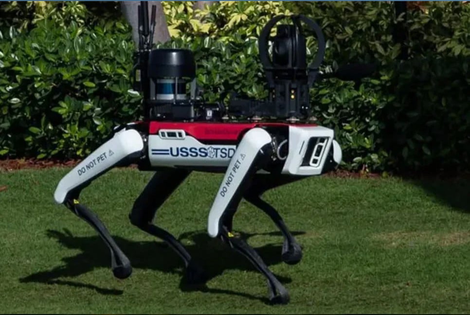 Mysterious robotic dog spotted outside Trump’s house!