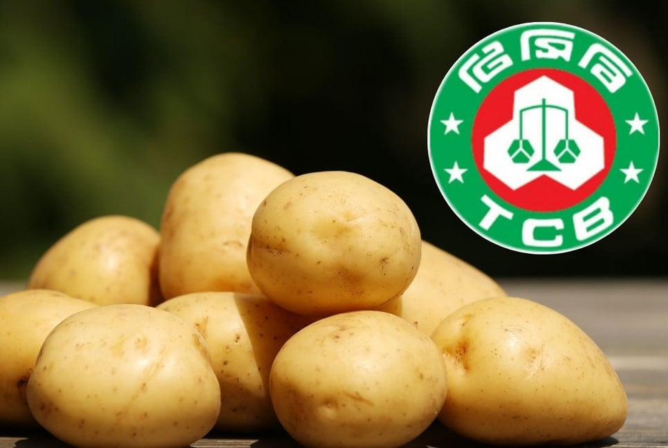 TCB launches potato sales at tk40/kg starting today