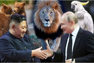 Putin gifts over 70 animals to North Korean zoo following troop support for Russian army