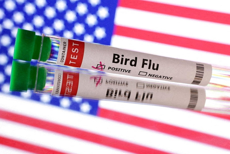 US reports first bird-flu case in a child