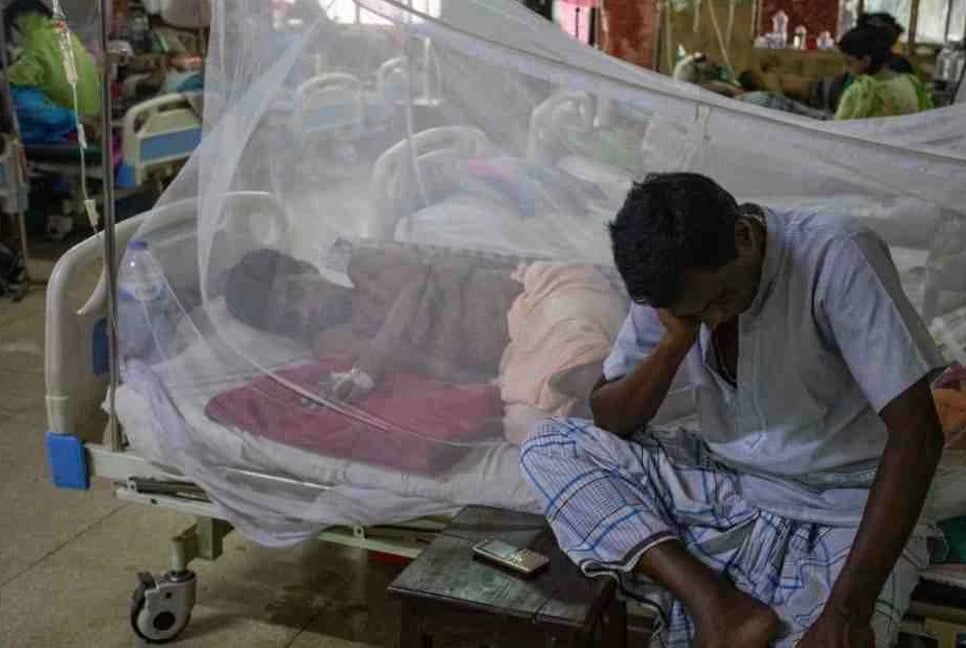 Dengue: 10 die, 990 hospitalized in 24 hrs