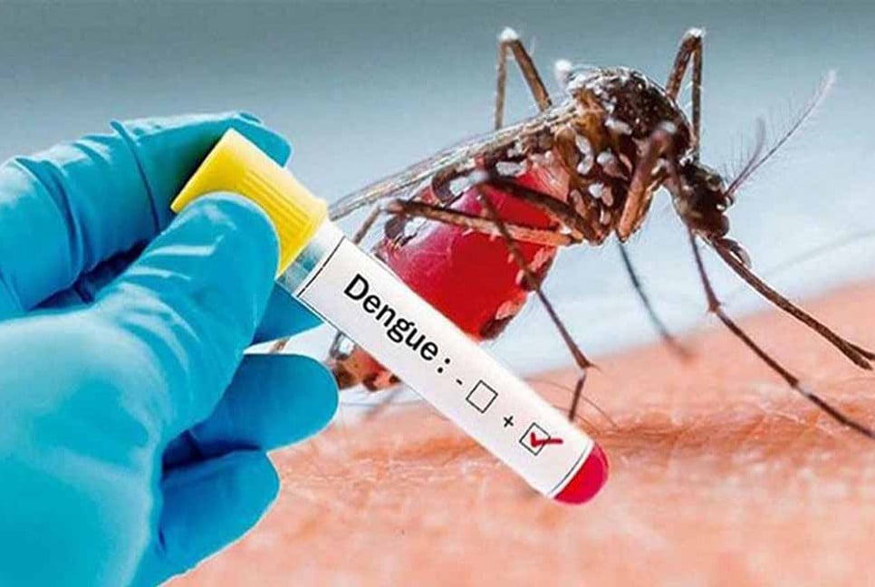 Dengue: 7 die, 837 hospitalised 24 hrs