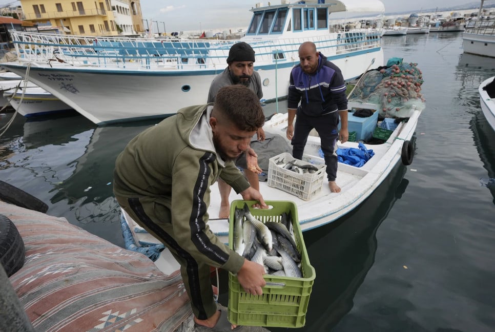 Fishers at a Lebanese port hope ceasefire means normal life is returning