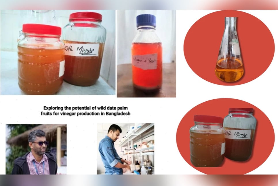 Bangladeshi researchers unlock vinegar potential of wild dates