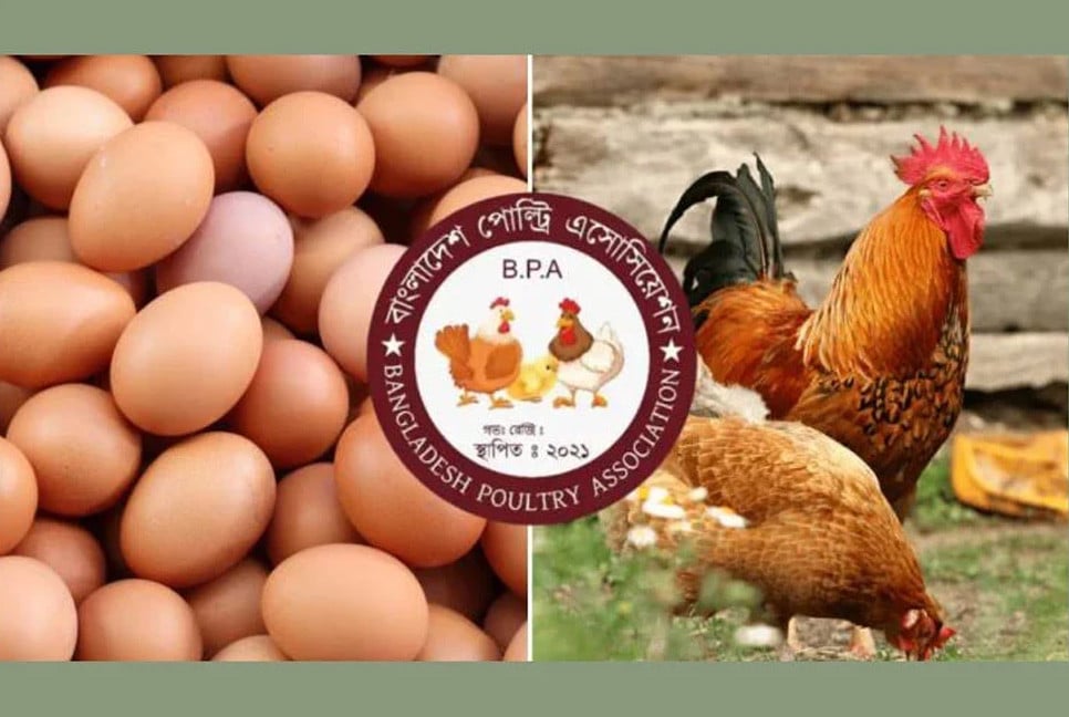 Egg-chicken production to stop from Jan 1 if demands not met: Poultry Association