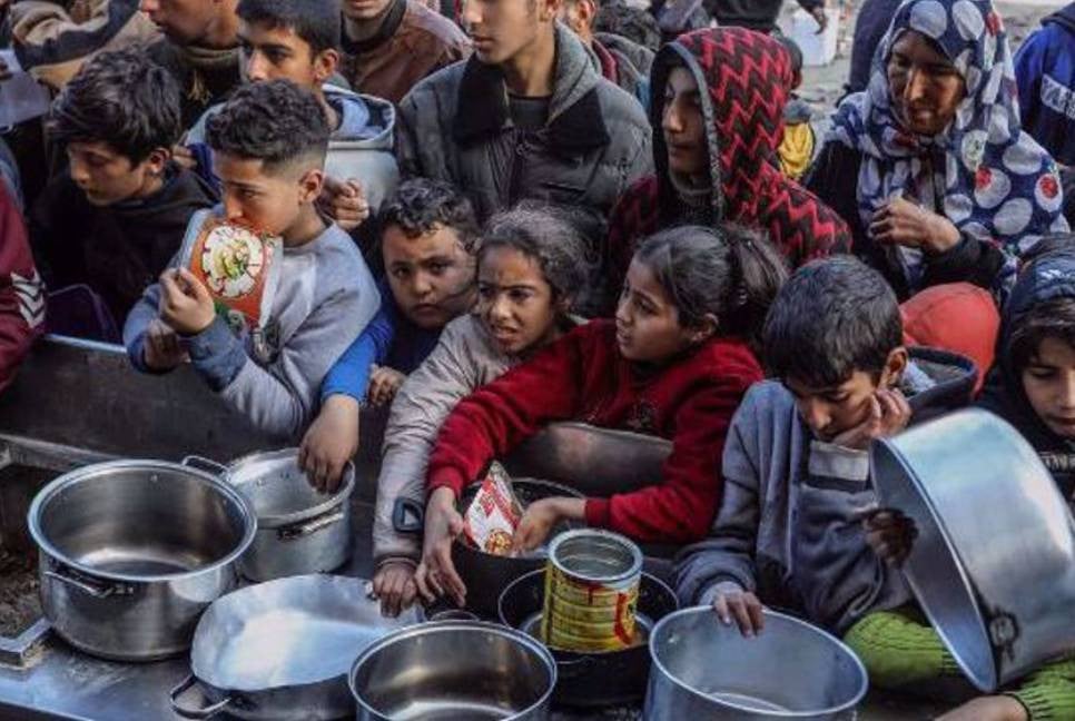 Two million people in Gaza face ‘acute’ hunger: WFP