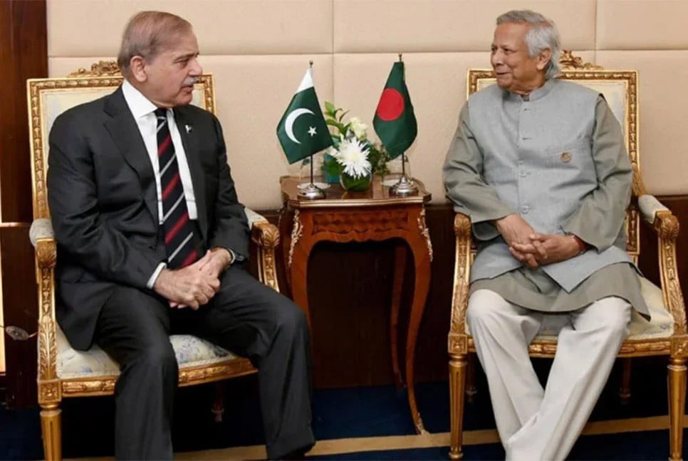 CA Prof Yunus meets Pakistan PM in Cairo