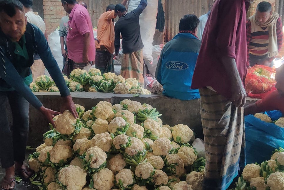 Winter vegetable prices plunge sharply in Gaibandha market