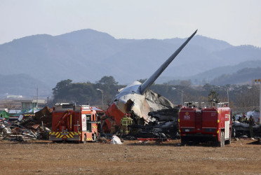 Bird strike, adverse weather likely caused fatal S. Korea plane crash