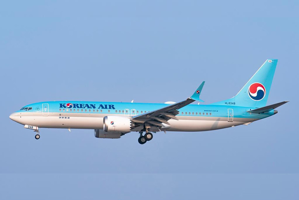 South Korea considers special inspection for B737-800 fleet