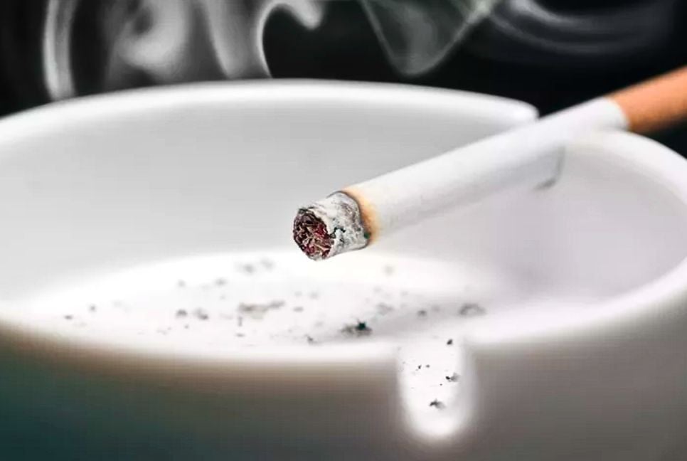 Each cigarette cuts life expectancy by 20 minutes: Study