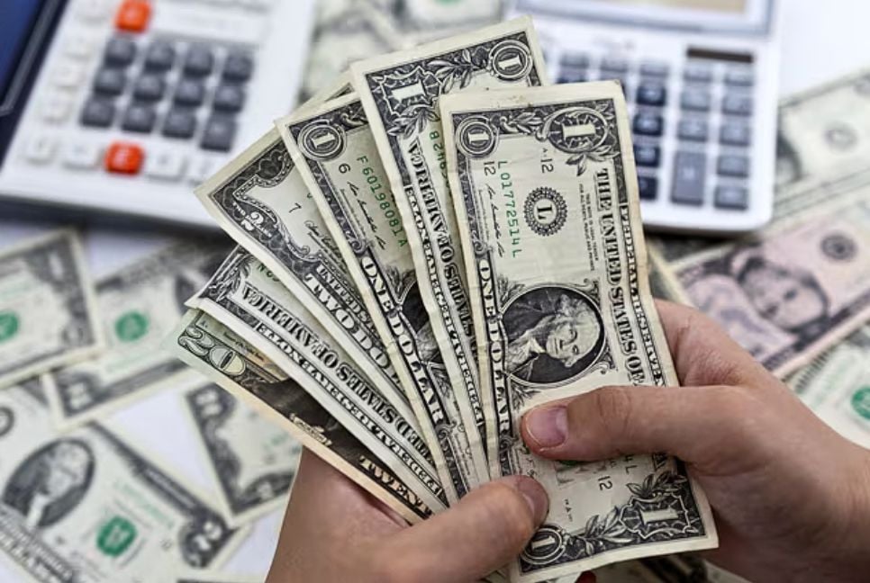 Dollar price dearer despite record remittance inflows