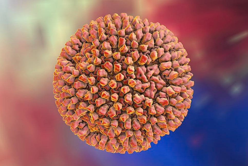 IEDCR detects Reovirus in Bangladesh