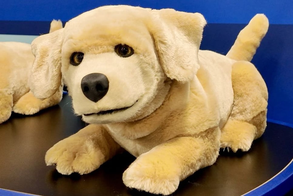 ‘Jeanie’, a realistic robotic puppy created to support people with dementia