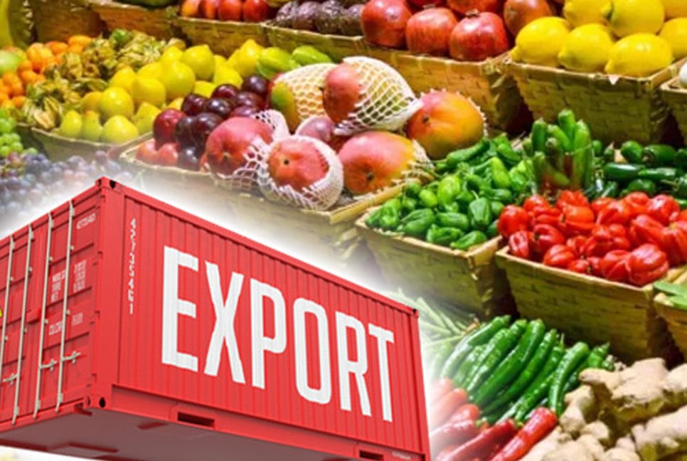 Billion-dollar earnings expected from agricultural exports