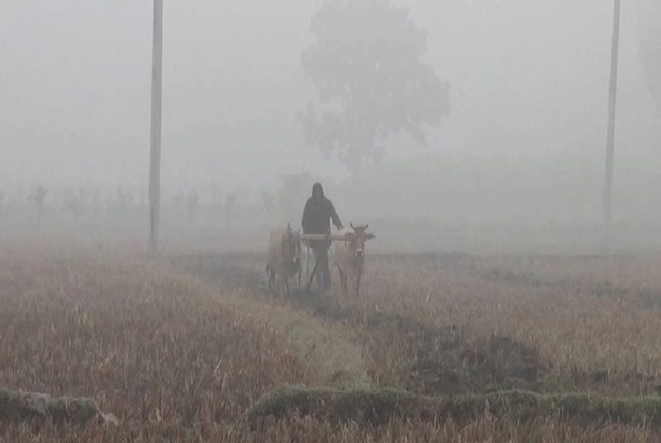 Biting cold batters Panchagarh, hit poor most