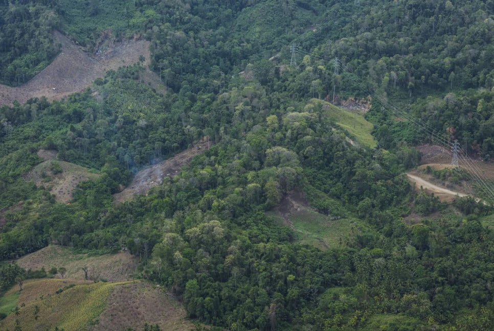 S. Korea to shrink biomass energy subsidies after criticism over link to deforestation