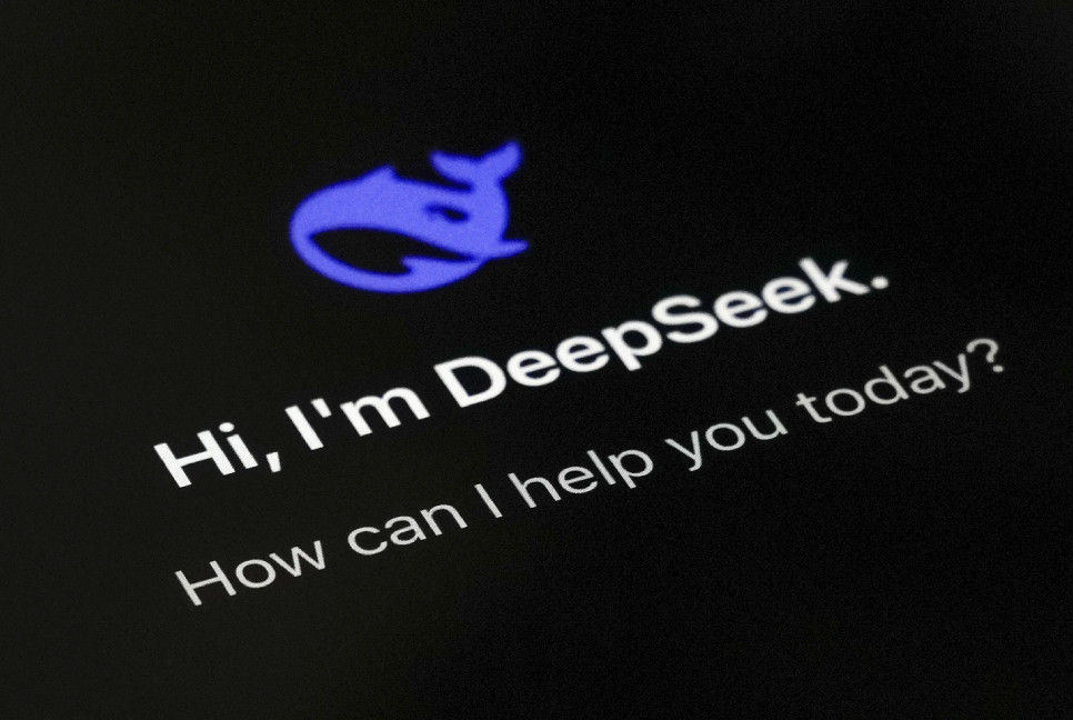 Italy blocks access to DeepSeek to protect users' data