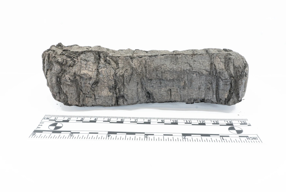 AI and scientists unite to decipher old scrolls charred by Vesuvius volcano