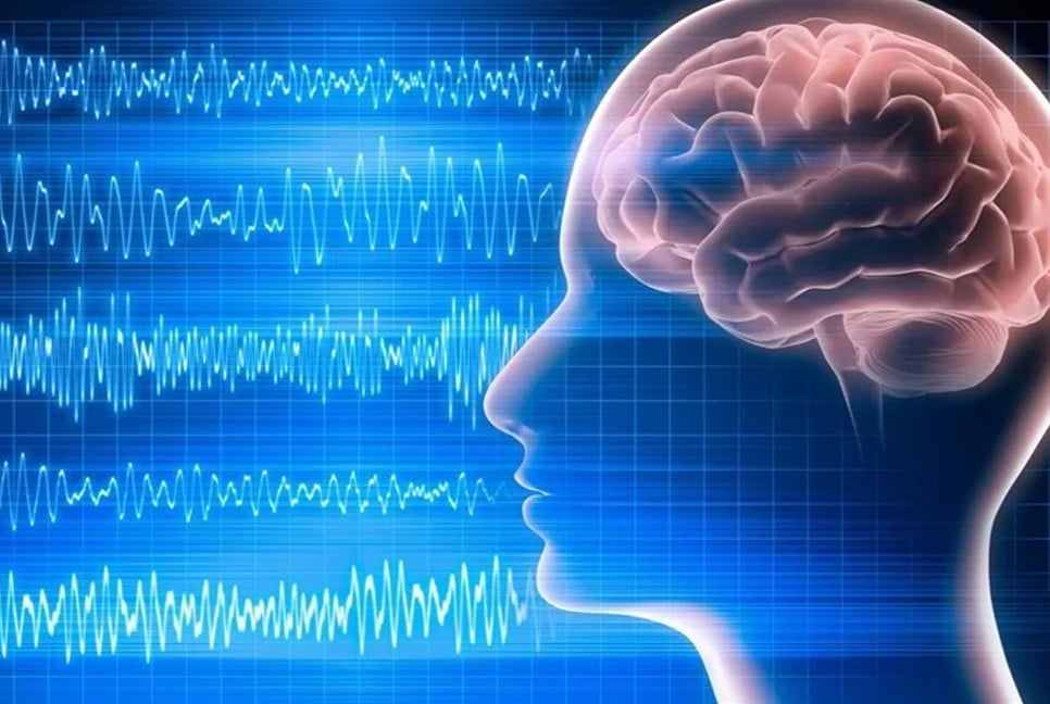 Study reveals brain waves may reflect life review before death